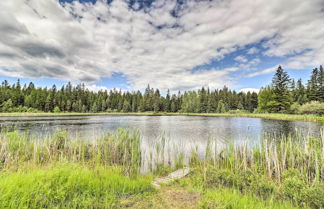 Photo 3 - Newly Renovated, Eureka Lakefront Retreat