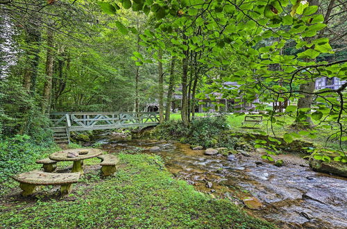 Foto 7 - Roan Mountain Creekside Cabin: Hike & Fish