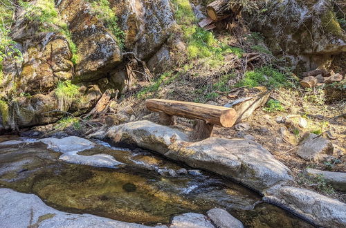 Photo 10 - Creekside Cabin 8 Mi to Kings Canyon National Park