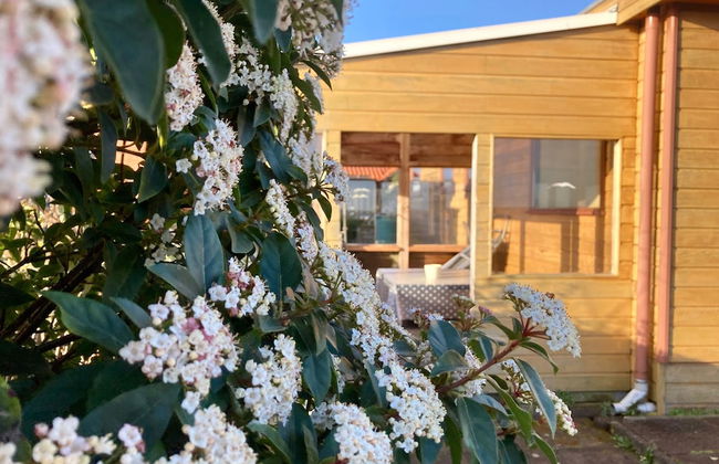 Waterfront Holiday Home Sonnenschein 3 Persons With Sauna - Foto 24