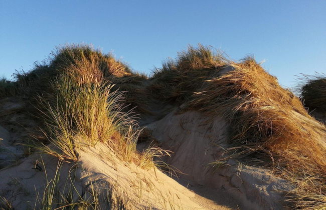 Energy-efficient Pool House - By Traum Ferienwohnungen - Foto 7