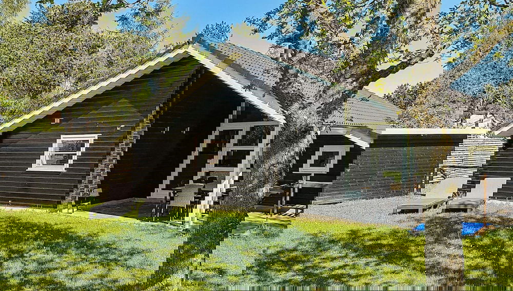 Imagem principal