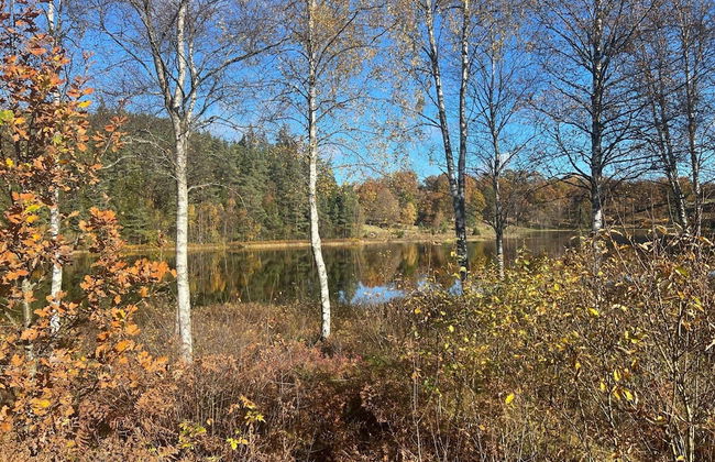 4 Person Holiday Home in Hillerstorp-by Traum - Foto 17