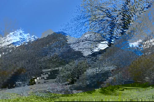 Photo 10 - Chalet les Rocailles