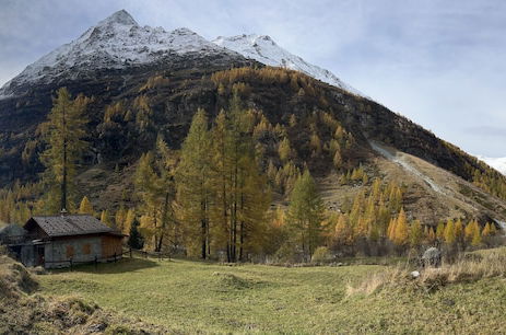 Foto 2 - Chalet les Rocailles