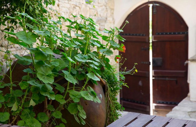 Old Olive Mill House - Foto 15