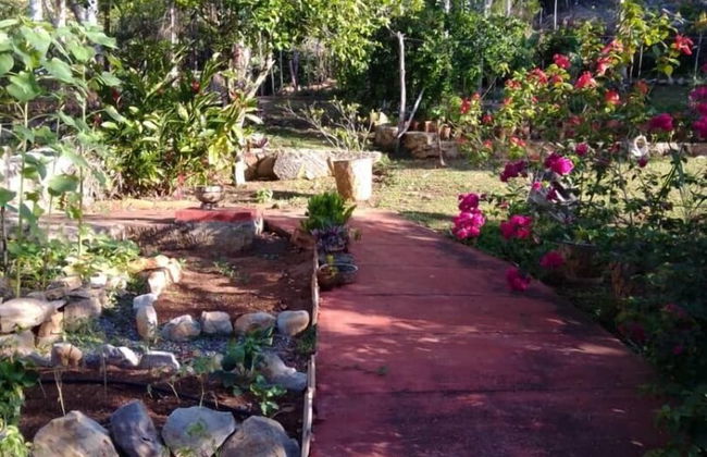 Farmhouse in Candelaria with garden - Foto 14