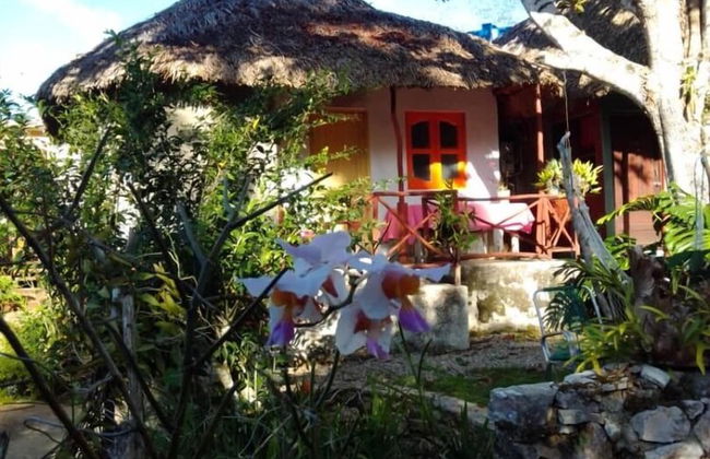 Farmhouse in Candelaria with garden - Foto 16