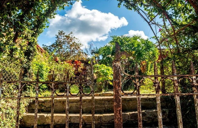 Farmhouse in Candelaria with garden - Foto 2