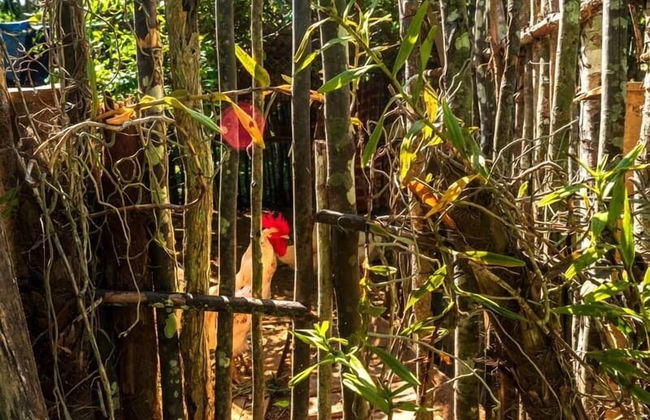 Farmhouse in Candelaria with garden - Foto 15