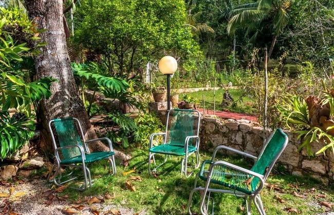 Farmhouse in Candelaria with garden - Foto 9