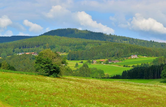 Comfort Apartment With Balcony in the Beautiful Bavarian Forest - Foto 74
