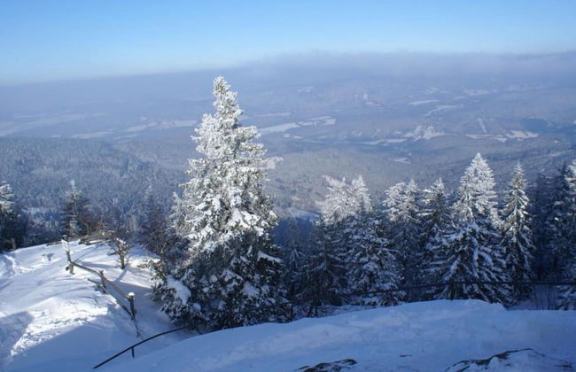Bavarian Forest Villa - Foto 36