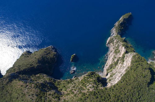 Photo 9 - Cilento Apartment in Villa With sea Views