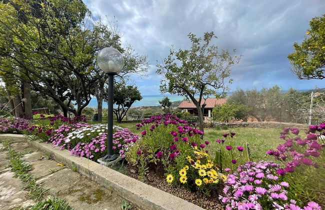 Cilento Apartment in Villa With sea Views - Foto 14