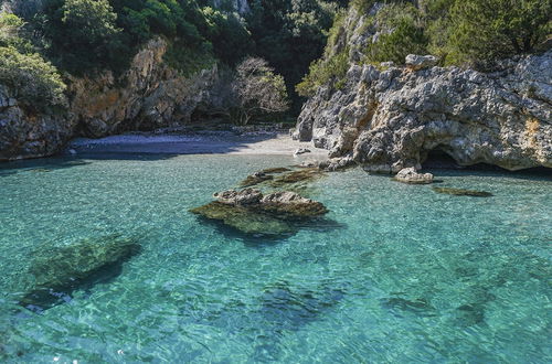 Foto 19 - Cilento Apartment in Villa With sea Views