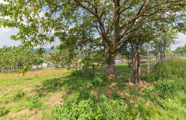 Holiday Home in Marche-en-famenne With Garden - Foto 40