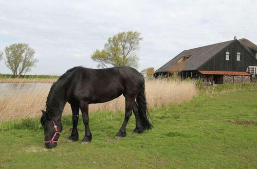 Photo 28 - Romantic Holiday Home With Plenty of Cycling and Walking Possibilities