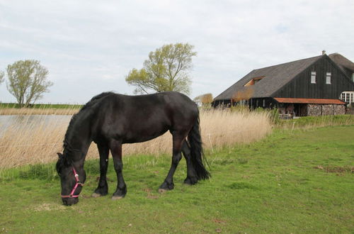 Foto 40 - Romantic Holiday Home With Plenty of Cycling and Walking Possibilities