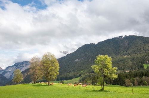 Photo 41 - Holiday Home in Saalfelden am Steinernen Meer With Garden