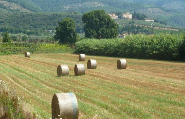 Apartment in Tuscany Near Florence - Foto 23