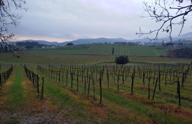 Apartment in Tuscany Near Florence - Foto 24