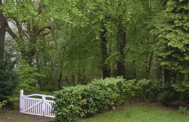 Flat in Eutin on the Kleiner Eutiner See Lake - Foto 60