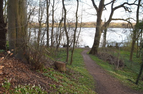 Photo 51 - Flat in Eutin on the Kleiner Eutiner See Lake