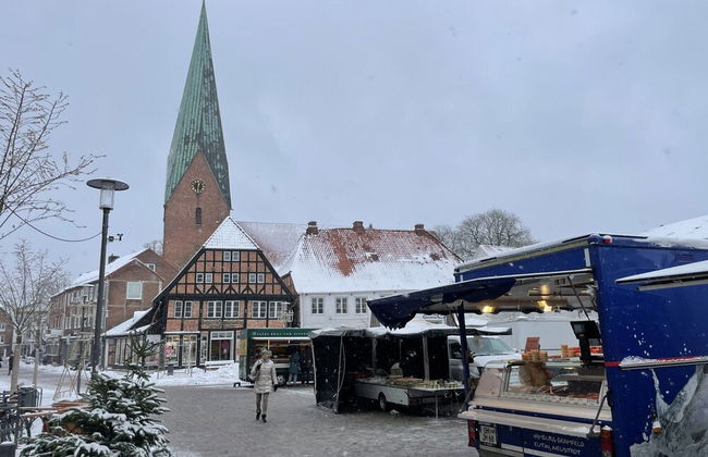 Flat in Eutin on the Kleiner Eutiner See Lake - Foto 28