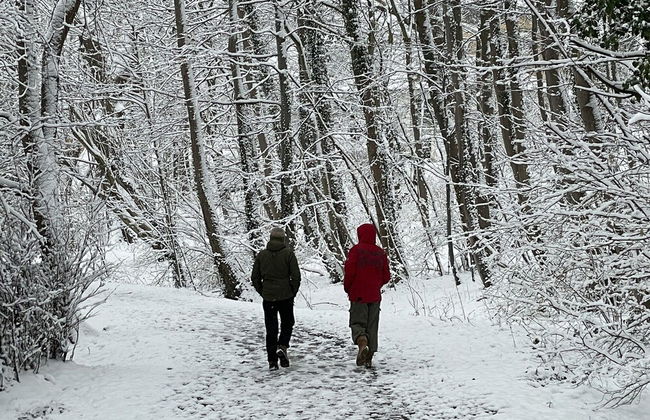 Flat in Eutin on the Kleiner Eutiner See Lake - Foto 20