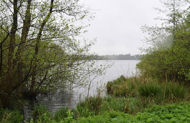 Flat in Eutin on the Kleiner Eutiner See Lake - Foto 65