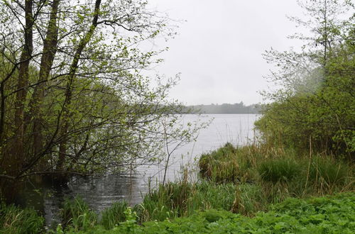 Photo 65 - Flat in Eutin on the Kleiner Eutiner See Lake