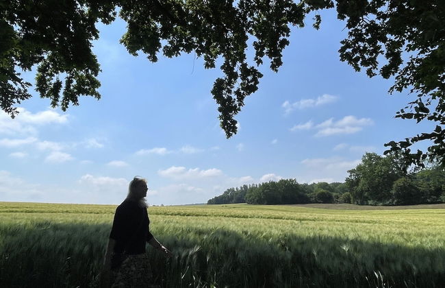 Flat in Eutin on the Kleiner Eutiner See Lake - Foto 16