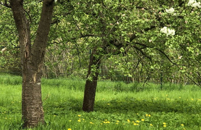 Flat in Eutin on the Kleiner Eutiner See Lake - Foto 2