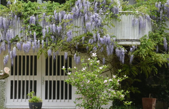 Flat in Eutin on the Kleiner Eutiner See Lake - Foto 55