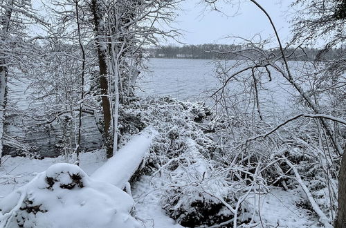 Photo 37 - Flat in Eutin on the Kleiner Eutiner See Lake