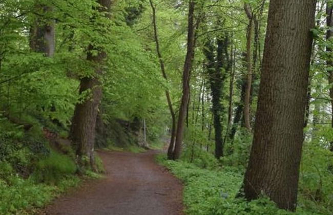 Flat in Eutin on the Kleiner Eutiner See Lake - Foto 54