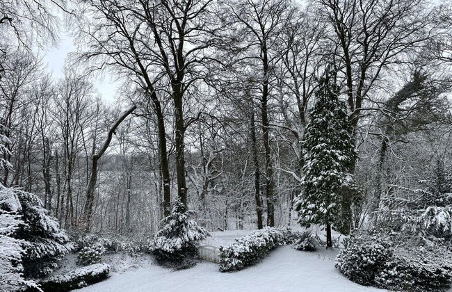 Flat in Eutin on the Kleiner Eutiner See Lake - Foto 51