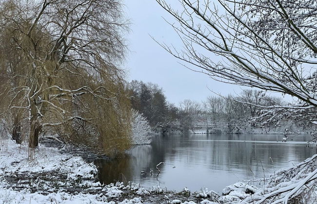 Flat in Eutin on the Kleiner Eutiner See Lake - Foto 21