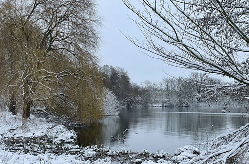 Photo 21 - Flat in Eutin on the Kleiner Eutiner See Lake