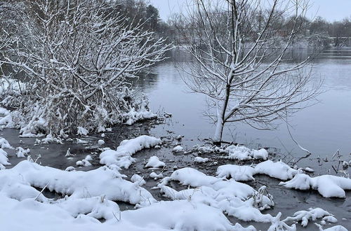 Photo 36 - Flat in Eutin on the Kleiner Eutiner See Lake