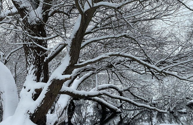 Flat in Eutin on the Kleiner Eutiner See Lake - Foto 30