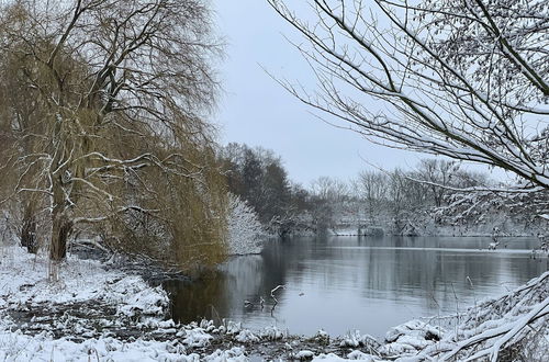 Photo 31 - Flat in Eutin on the Kleiner Eutiner See Lake