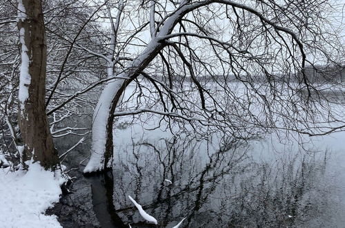 Photo 22 - Flat in Eutin on the Kleiner Eutiner See Lake