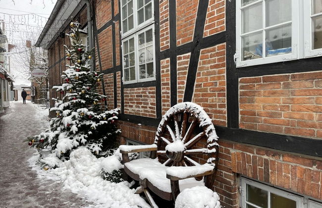 Flat in Eutin on the Kleiner Eutiner See Lake - Foto 29