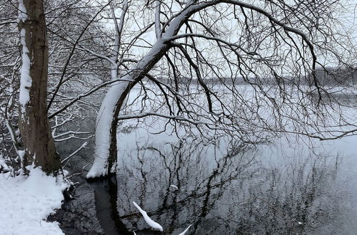 Photo 32 - Flat in Eutin on the Kleiner Eutiner See Lake