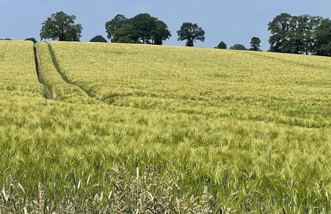 Flat in Eutin on the Kleiner Eutiner See Lake - Foto 17