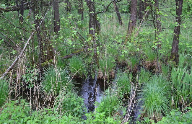Flat in Eutin on the Kleiner Eutiner See Lake - Foto 62