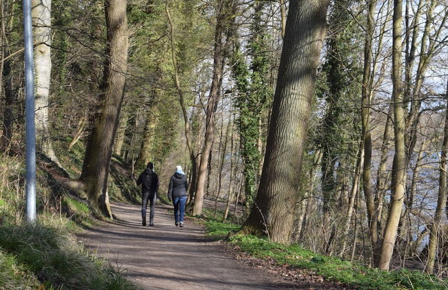 Flat in Eutin on the Kleiner Eutiner See Lake - Foto 64