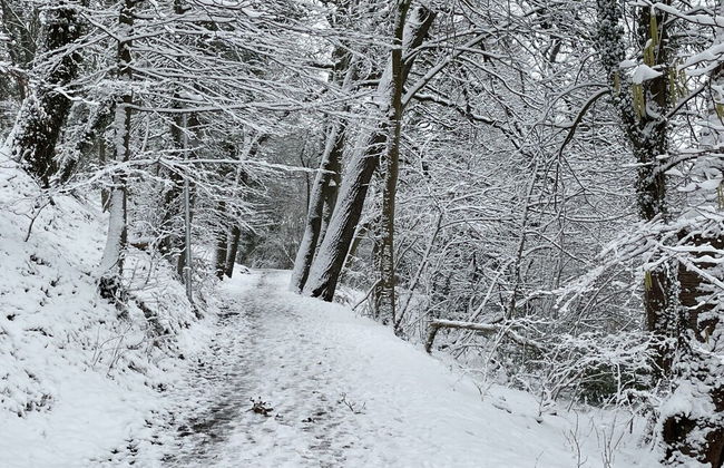 Flat in Eutin on the Kleiner Eutiner See Lake - Foto 19